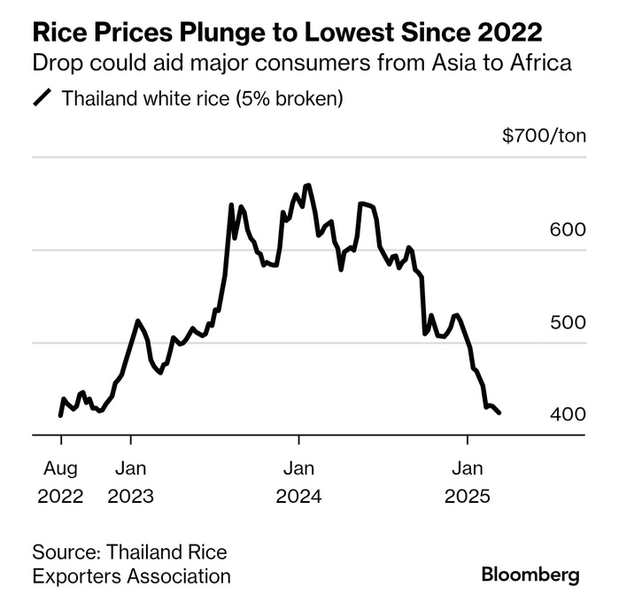 Chute mondiale du prix du riz : une bonne nouvelle pour les consommateurs sénégalais et mondiaux .