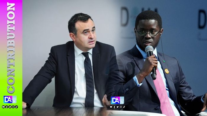 Sénégal - Un an de pouvoir de Diomaye : « Une économie à l’arrêt, une soif de vengeance, une diplomatie et des libertés en souffrance » (Erwan Davoux) Sénégal - Un an de pouvoir de Diomaye : « Une économie à l’arrêt, une soif de vengeance, une diplomatie et des libertés en souffrance » (Erwan Davoux)