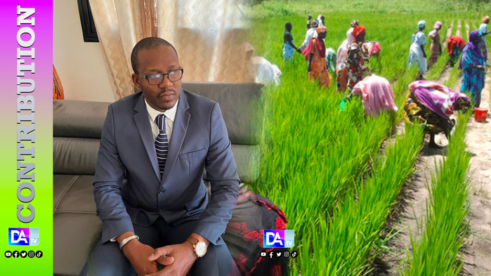 SENEGAL AGRICOLE : LE NOUVEAU PLAN D’URGENCE PROPOSE PAR LE MOUVEMENT PROGRES POUR RESOUDRE LA LANCINANTE QUESTION DE LA SOUVERAINETE ALIMENTAIRE ( Par M. Djibril BA ) SENEGAL AGRICOLE : LE NOUVEAU PLAN D’URGENCE PROPOSE PAR LE MOUVEMENT PROGRES POUR RESOUDRE LA LANCINANTE QUESTION DE LA SOUVERAINETE ALIMENTAIRE ( Par M. Djibril BA )