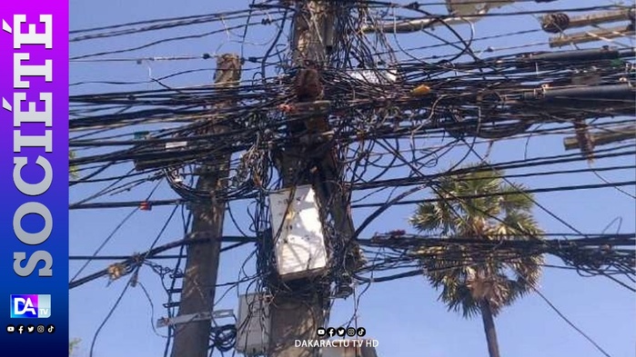 Tragédie à Sédhiou : « Bolo », jeune gardien de but, électrocuté en cherchant du bois Tragédie à Sédhiou : « Bolo », jeune gardien de but, électrocuté en cherchant du bois