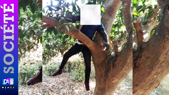 Kafountine : Un Sierra-Léonais se suicide par pendaison Kafountine : Un Sierra-Léonais se suicide par pendaison