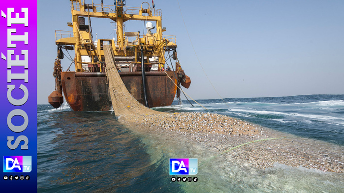 Crise dans le secteur de la pêche : Le SYTRAPAS observe un arrêt de travail de 48 heures renouvelable à partir du 14 avril 2025 Crise dans le secteur de la pêche : Le SYTRAPAS observe un arrêt de travail de 48 heures renouvelable à partir du 14 avril 2025