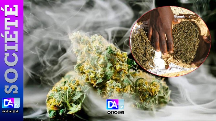 Thiès – Deux sexagénaires rattrapés par le “yamba” : « C’était pour dormir… et manger ! » Thiès – Deux sexagénaires rattrapés par le “yamba” : « C’était pour dormir… et manger ! »