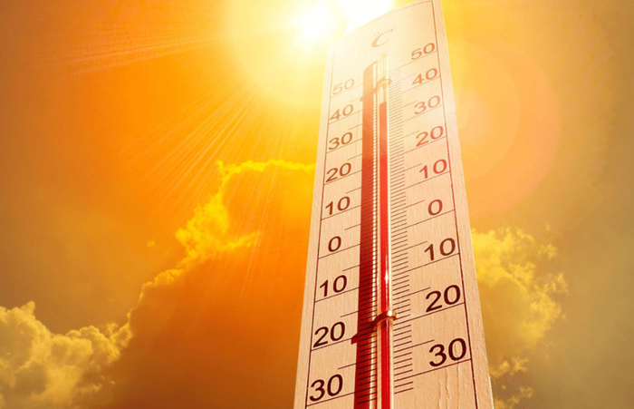 KOLDA : Une canicule infernale vécue par les populations et les animaux… KOLDA : Une canicule infernale vécue par les populations et les animaux…