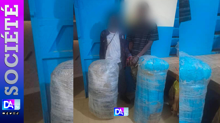 Baba Garage : Saisie spectaculaire de 51 kg de chanvre indien, deux trafiquants dans les filets de la gendarmerie Baba Garage : Saisie spectaculaire de 51 kg de chanvre indien, deux trafiquants dans les filets de la gendarmerie