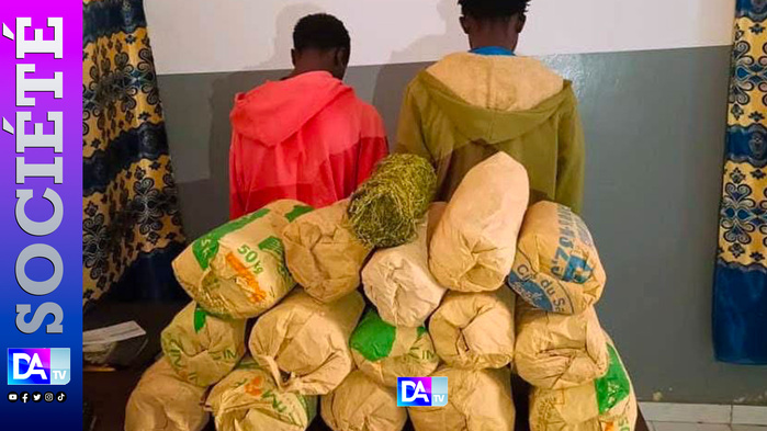 Sédhiou : 15 kg de “YAMBA” saisis, deux individus tombent dans les filets de la police Sédhiou : 15 kg de “YAMBA” saisis, deux individus tombent dans les filets de la police