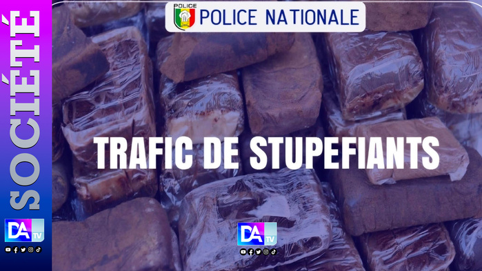 Yoff Virage : Un vendeur de voitures piégé avec du haschisch et du skunk à domicile Yoff Virage : Un vendeur de voitures piégé avec du haschisch et du skunk à domicile