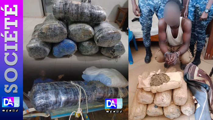 Plus de 390 kg de drogue saisis, un trafiquant arrêté : la Gendarmerie intensifie la pression Plus de 390 kg de drogue saisis, un trafiquant arrêté : la Gendarmerie intensifie la pression