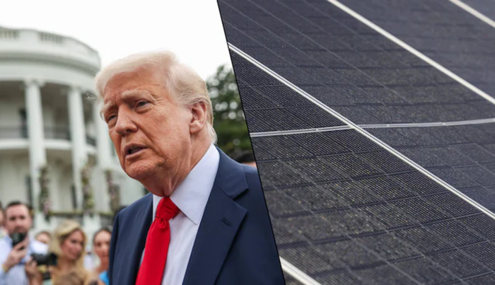 Trump veut jusqu’à 3.521% de droits de douane sur les panneaux solaires d’Asie du Sud-Est Trump veut jusqu’à 3.521% de droits de douane sur les panneaux solaires d’Asie du Sud-Est