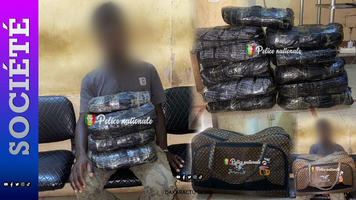 Kaolack : arrestation d’un trafiquant avec 11 kg de chanvre indien (Police) Kaolack : arrestation d’un trafiquant avec 11 kg de chanvre indien (Police)