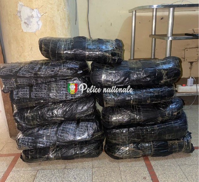 Kaolack : arrestation d’un trafiquant avec 11 kg de chanvre indien (Police) Kaolack : arrestation d’un trafiquant avec 11 kg de chanvre indien (Police)