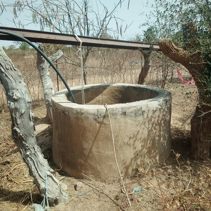 Malem Hodar / Manque d’eau à Mbame : Avec des puits à ciel ouvert comme seule alternative, les populations interpellent le chef de l’État Malem Hodar / Manque d’eau à Mbame : Avec des puits à ciel ouvert comme seule alternative, les populations interpellent le chef de l’État