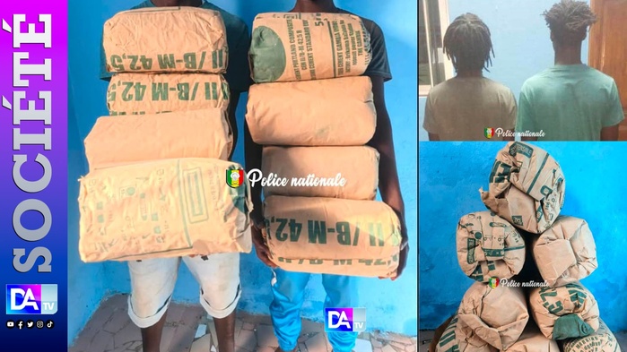 Ziguinchor : Deux individus arrêtés avec 8 kg de chanvre indien près du pont de Tobor Ziguinchor : Deux individus arrêtés avec 8 kg de chanvre indien près du pont de Tobor