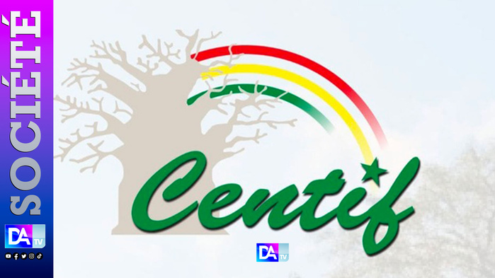 20 milliards, 450 dépôts et une enquête explosive : le trou noir financier d’Okapi Sénégal 20 milliards, 450 dépôts et une enquête explosive : le trou noir financier d’Okapi Sénégal