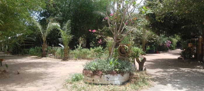 KOLDA : À la découverte de « Sow Ranch », une retraite écologique pour la protection de l’environnement… KOLDA : À la découverte de « Sow Ranch », une retraite écologique pour la protection de l’environnement…