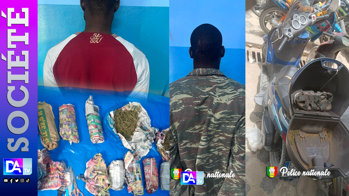 Grand-Yoff – Traque à l’aube : deux dealers arrêtés à SENZELA avec du chanvre caché sous un escalier Grand-Yoff – Traque à l’aube : deux dealers arrêtés à SENZELA avec du chanvre caché sous un escalier