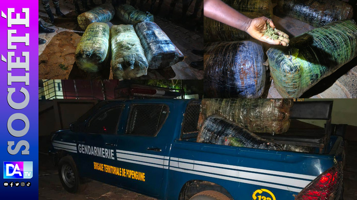 Popenguine : 125 kg de chanvre saisis sur la plage de Guéréo, les trafiquants fuient par la mer Popenguine : 125 kg de chanvre saisis sur la plage de Guéréo, les trafiquants fuient par la mer