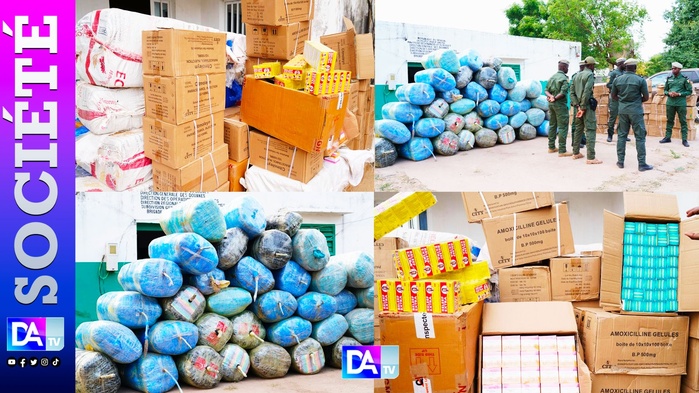 Coup de filet contre le trafic de médicaments à Kaolack et Fatick : La BNLPC frappe fort Coup de filet contre le trafic de médicaments à Kaolack et Fatick : La BNLPC frappe fort