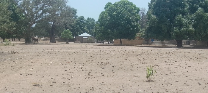 Tanakanto Escale (Kolda) : 30 familles déplacées par le conflit casamançais accompagnées par « le plan Diomaye Pour la Casamance »… Tanakanto Escale (Kolda) : 30 familles déplacées par le conflit casamançais accompagnées par « le plan Diomaye Pour la Casamance »…