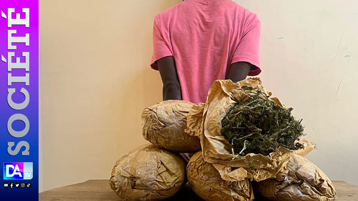 Saly – Trafic de chanvre : Mamadou A. Gadiaga arrêté avec 5 kg de drogue en provenance de Gambie Saly – Trafic de chanvre : Mamadou A. Gadiaga arrêté avec 5 kg de drogue en provenance de Gambie