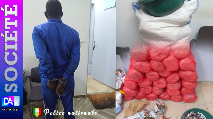 28 kg de chanvre saisis à Dalifort : le cerveau d’un vaste réseau de trafic de « Yamba » tombe à Guinaw Rails 28 kg de chanvre saisis à Dalifort : le cerveau d’un vaste réseau de trafic de « Yamba » tombe à Guinaw Rails