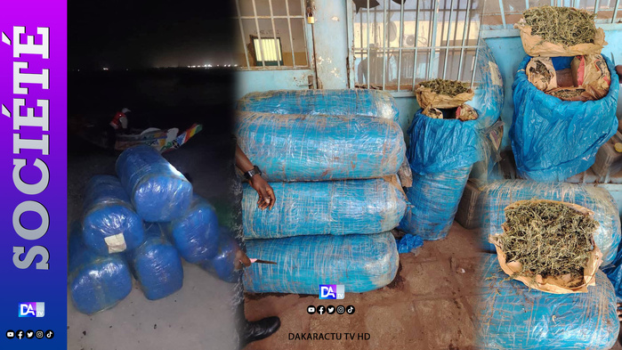 Coup de filet nocturne à Hann : 206 kg de chanvre saisis en mer par la Gendarmerie Coup de filet nocturne à Hann : 206 kg de chanvre saisis en mer par la Gendarmerie