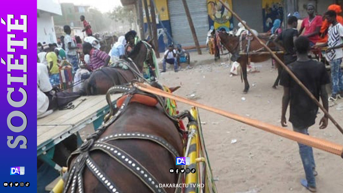 Linguère : Une fillette de 5 ans tuée par une charrette à Boguel Linguère : Une fillette de 5 ans tuée par une charrette à Boguel