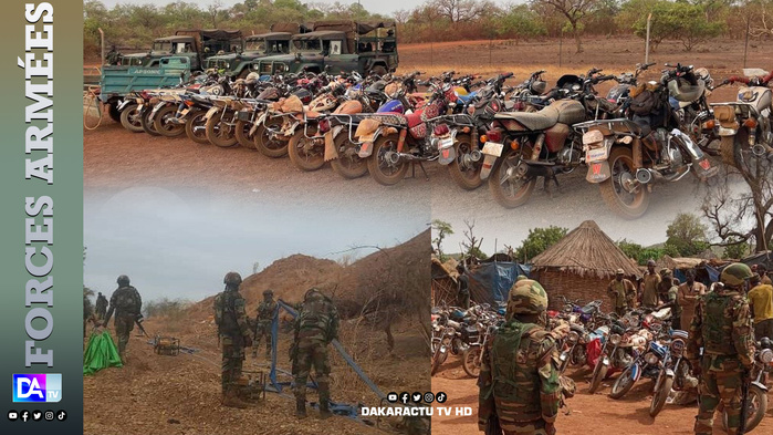 Falémé : L'Armée démantèle trois sites d'orpaillage clandestins et saisit du bois illégal Falémé : L'Armée démantèle trois sites d'orpaillage clandestins et saisit du bois illégal