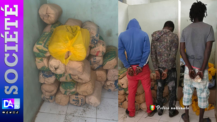 Trafic par voie maritime avorté à Rufisque : trois individus arrêtés avec 39 kg de chanvre indien Trafic par voie maritime avorté à Rufisque : trois individus arrêtés avec 39 kg de chanvre indien