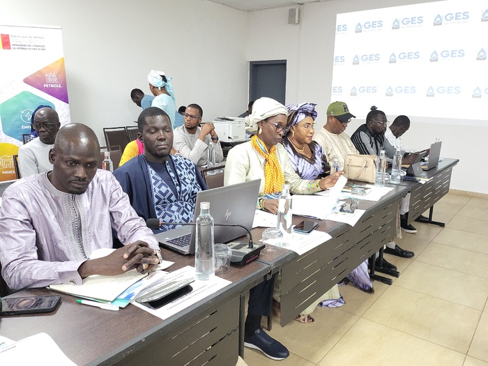 Transparence minière au Sénégal : "Vers un pacte pour la justice sociale et la redevabilité" (Birame Soulèye Diop) Transparence minière au Sénégal : "Vers un pacte pour la justice sociale et la redevabilité" (Birame Soulèye Diop)