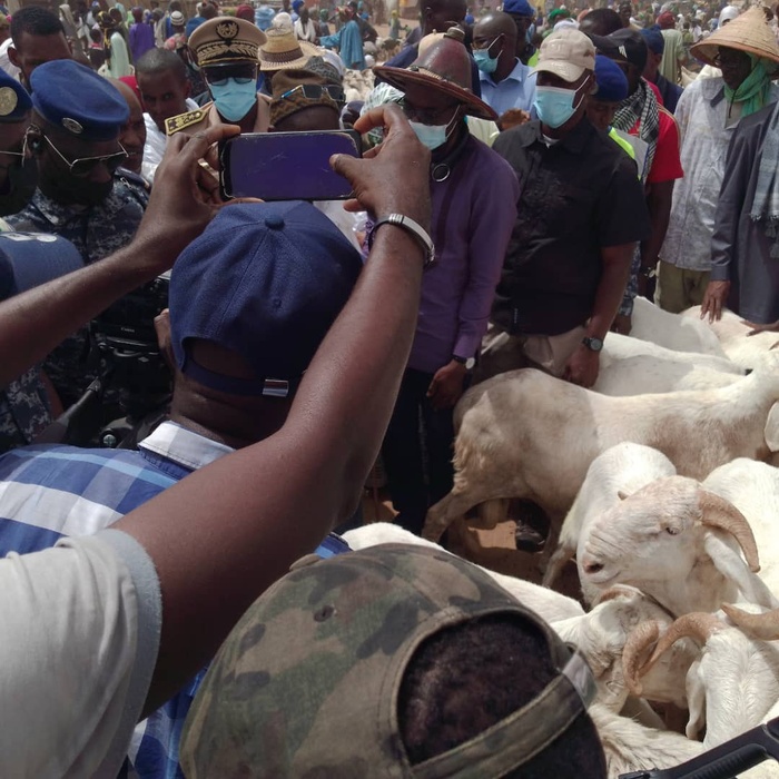 Dahra Djoloff / Visite du Secrétaire d’État : Les éleveurs saluent l’approvisionnement en moutons, mais déplorent la cherté des aliments de bétail