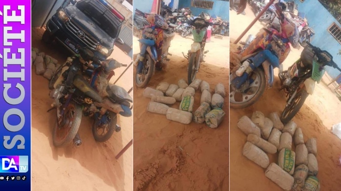 Trafic de drogue : 16 kg de chanvre et deux motos saisis à Diass après une course-poursuite Trafic de drogue : 16 kg de chanvre et deux motos saisis à Diass après une course-poursuite