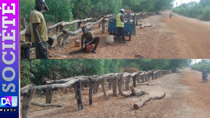 Bignarabé (Médina Yoro Foula) : Les populations construisent le pont de la « honte »… Bignarabé (Médina Yoro Foula) : Les populations construisent le pont de la « honte »…