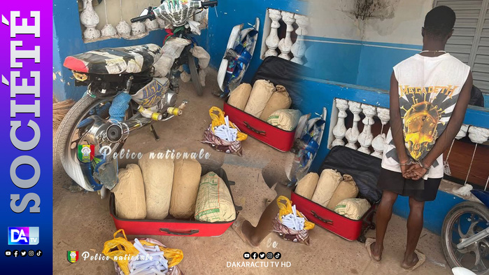 Kolda : Un dealer tombé avec 4 kg de chanvre et 69 cornets à Gadapara Kolda : Un dealer tombé avec 4 kg de chanvre et 69 cornets à Gadapara