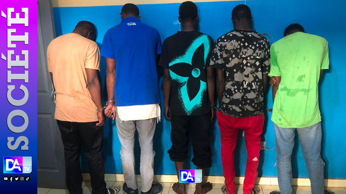 Saisie de chanvre à Diass : les 5 trafiquants en cavale arrêtés par la Gendarmerie Saisie de chanvre à Diass : les 5 trafiquants en cavale arrêtés par la Gendarmerie