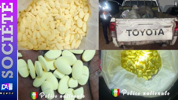 Ecstasy sur la route : Deux trafiquants arrêtés à Tambacounda avec 650 comprimés Ecstasy sur la route : Deux trafiquants arrêtés à Tambacounda avec 650 comprimés