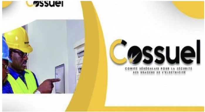 Cossuel, NSIA, Senelec : un trou de 2,2 milliards dans les câbles ! Cossuel, NSIA, Senelec : un trou de 2,2 milliards dans les câbles !