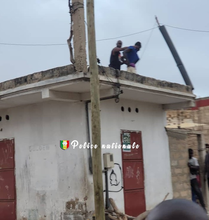 Brigade régionale des Stupéfiants de Dakar : 15 individus interpellés entre Bambilor et Jaxaay pour trafic de drogue Brigade régionale des Stupéfiants de Dakar : 15 individus interpellés entre Bambilor et Jaxaay pour trafic de drogue