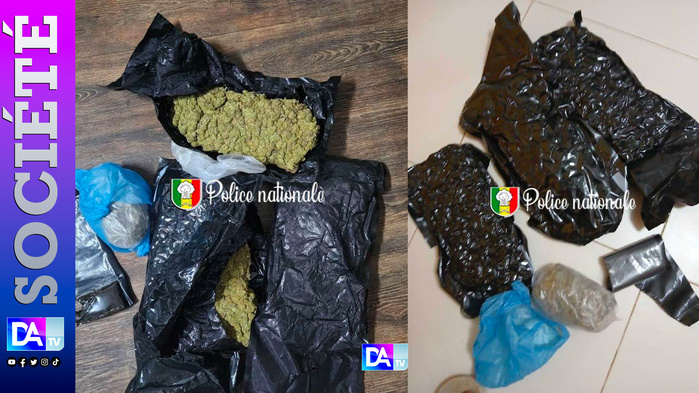 Dakar-Somone-Californie : un vaste réseau de trafic de drogue démantelé par l’OCRTIS Dakar-Somone-Californie : un vaste réseau de trafic de drogue démantelé par l’OCRTIS