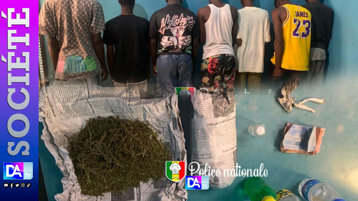 Combat Zarco/Sa Thiès : 17 interpellations et saisie de drogue à Grand Yoff Combat Zarco/Sa Thiès : 17 interpellations et saisie de drogue à Grand Yoff