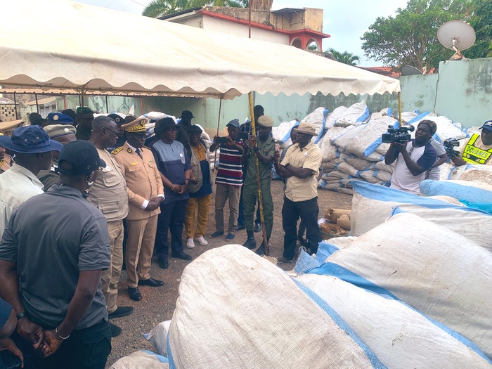 Ziguinchor : Près de 4 tonnes de chanvre indien saisies par les Forces de Défense et de Sécurité Ziguinchor : Près de 4 tonnes de chanvre indien saisies par les Forces de Défense et de Sécurité