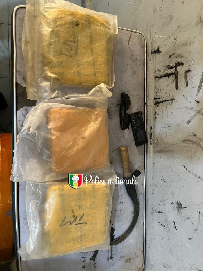 Rosso Sénégal : Un individu arrêté pour  trafic international de chanvre indien Rosso Sénégal : Un individu arrêté pour  trafic international de chanvre indien