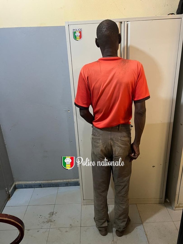 Rosso Sénégal : Un individu arrêté pour trafic international de chanvre indien Rosso Sénégal : Un individu arrêté pour trafic international de chanvre indien