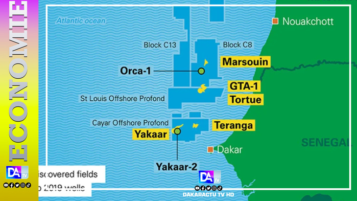 Sénégal - Pétrole : L'exploitation de Yakaar Teranga reportée à une date indéterminée Sénégal - Pétrole : L'exploitation de Yakaar Teranga reportée à une date indéterminée