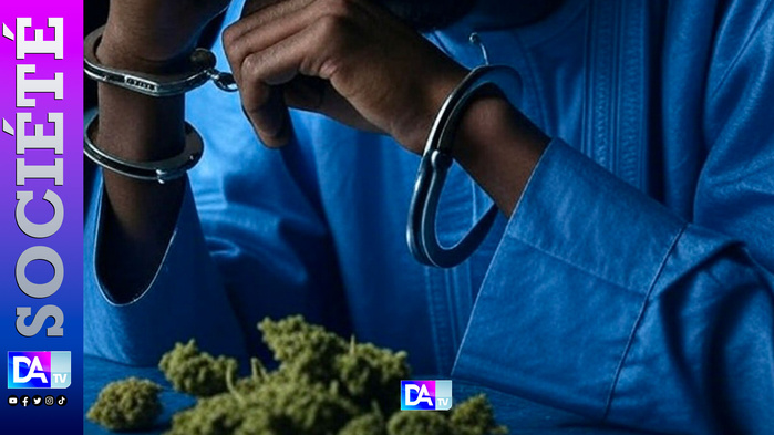 Mboro – Accro au chanvre, trahi par son père : « Mon père m’a vendu » S. Bâ sous les verrous, son sort connu le 4 juillet Mboro – Accro au chanvre, trahi par son père : « Mon père m’a vendu » S. Bâ sous les verrous, son sort connu le 4 juillet