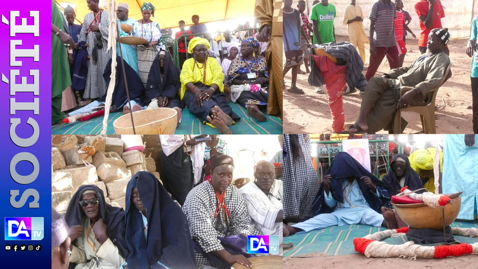 Djegem : Les Saltigues alertent sur des accidents mortels, une mystérieuse maladie et appellent à la reconnaissance de la médecine traditionnelle Djegem : Les Saltigues alertent sur des accidents mortels, une mystérieuse maladie et appellent à la reconnaissance de la médecine traditionnelle