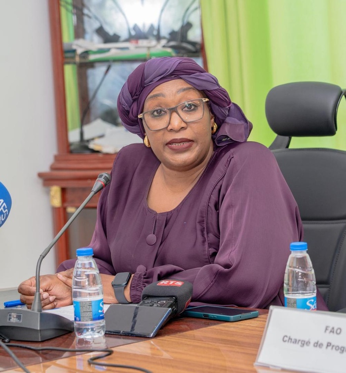 Résilience des populations face à la déforestation massive : « la restauration de 1,4 million d’hectares de terres dégradées et la réduction de 65 millions de tonnes de CO₂ prévues » (FAO) Résilience des populations face à la déforestation massive : « la restauration de 1,4 million d’hectares de terres dégradées et la réduction de 65 millions de tonnes de CO₂ prévues » (FAO)