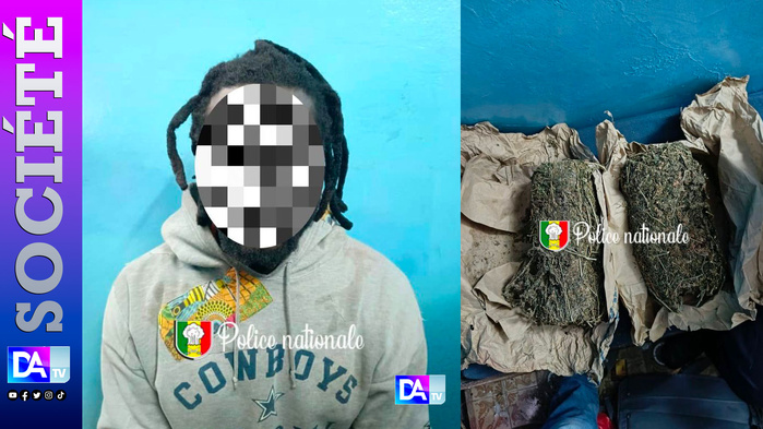 Ziguinchor : un cultivateur interpellé avec 2 kg de chanvre indien à la gare routière