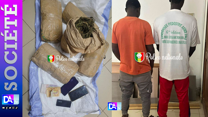 Yarakh : un duo arrêté avec 5 kg de chanvre indien près du service des mines Yarakh : un duo arrêté avec 5 kg de chanvre indien près du service des mines