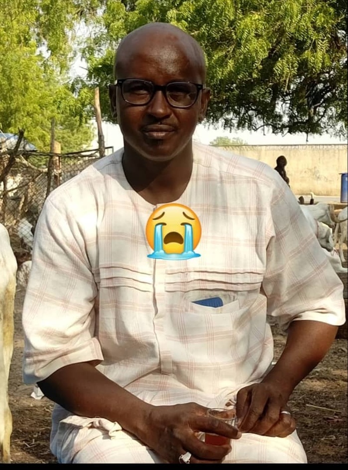 Foirail de Thiès : Un arbre s’affaisse et tue un homme d’une cinquantaine d’années Foirail de Thiès : Un arbre s’affaisse et tue un homme d’une cinquantaine d’années